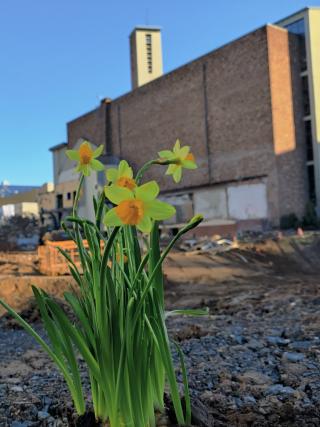 Frohe und gesegnete Ostern!